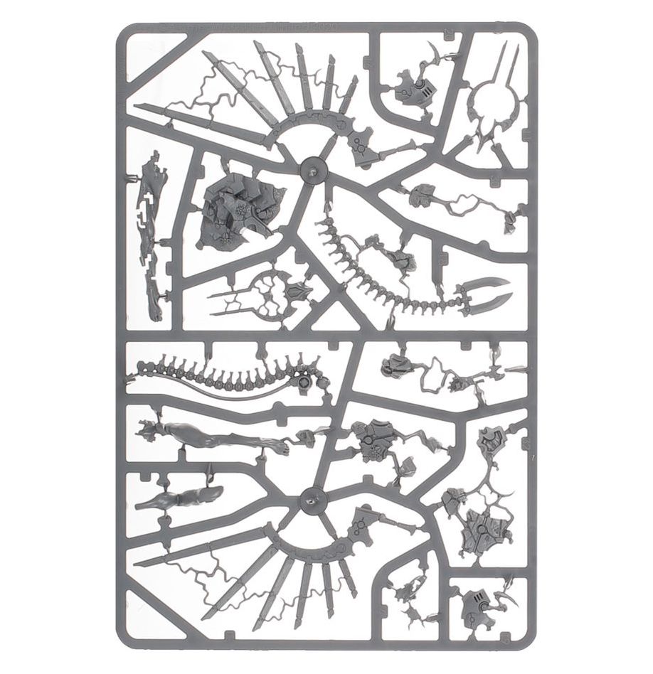 Écharde C'tan du Dragon du Néant