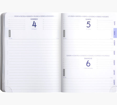 AGENDA FORUM KRAFT BRANCHES 12 X 17 CM JOURNALIER AOÛT 2024 À JUILLET 2025 - VISUEL