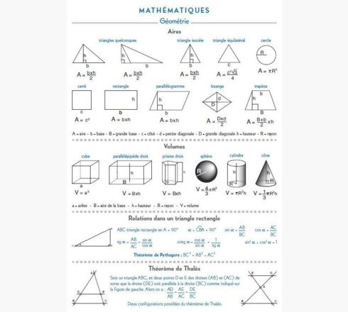 AGENDA FORUM KRAFT BRANCHES 12 X 17 CM JOURNALIER AOÛT 2024 À JUILLET 2025 - VISUEL