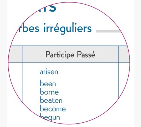 AGENDA FORUM KRAFT BRANCHES 12 X 17 CM JOURNALIER AOÛT 2024 À JUILLET 2025 - VISUEL
