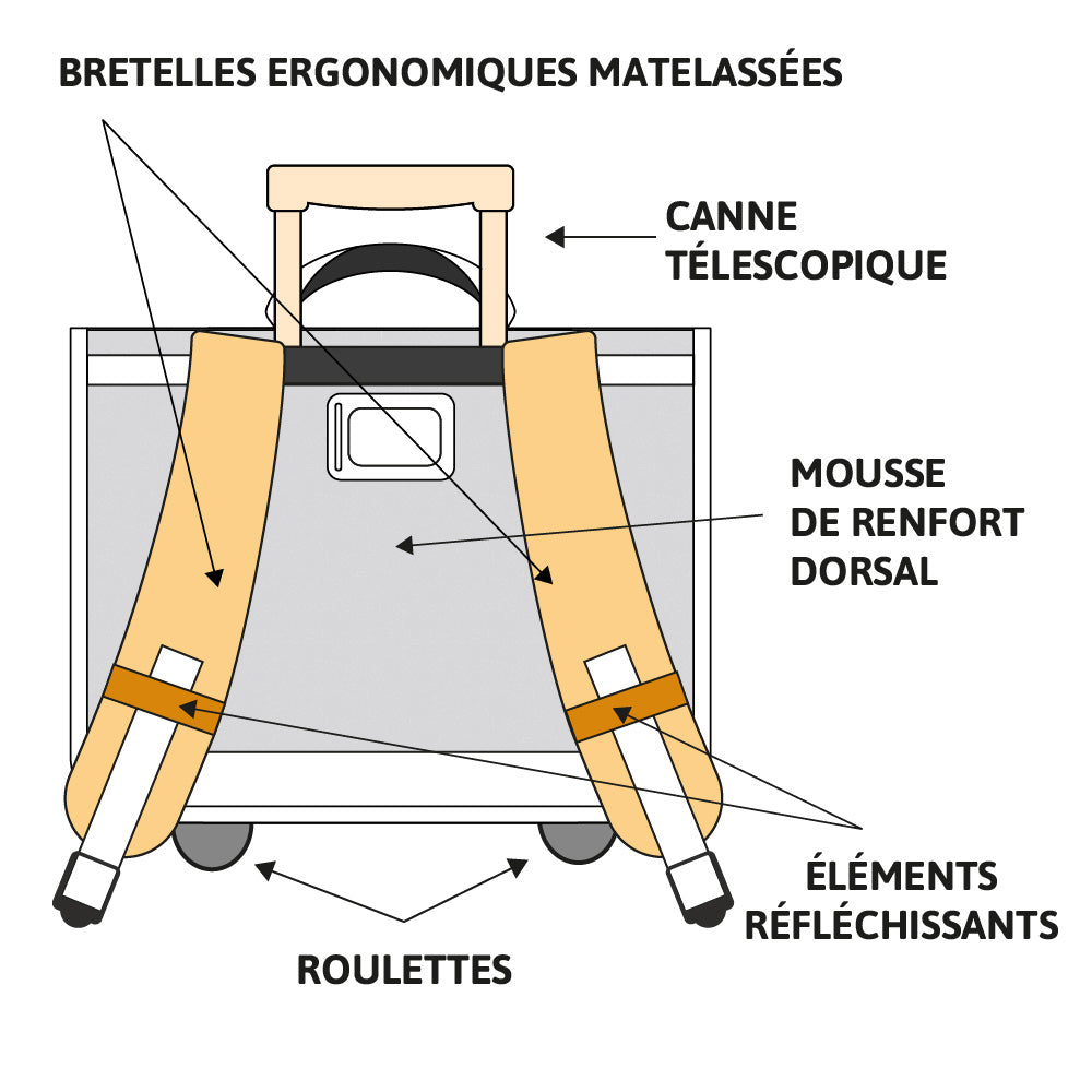 Cartable à roulettes POKEMON Team Evoli 41cm 2 compartiments