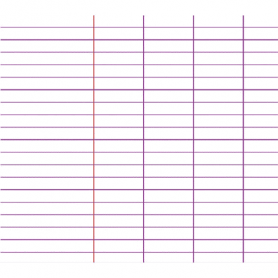 Cahier CALLIGRAPHE sans spirales 24x32 96p 48p Grands Carreaux Séyès 70g