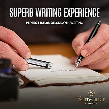 Superbe Stylo Plume de Luxe, Finition Chromée, Plume Schmidt (Moyenne), Meilleure Parure Cadeau pour Homme et Femme, Professionnel, Directeur, Bureau, Beau Stylo