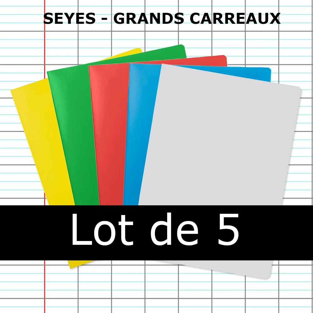 Lot de 5 cahiers polypro GRAPHMATE 24x32 96p grands carreaux Séyès - Bleu Rouge Vert Jaune Incolore