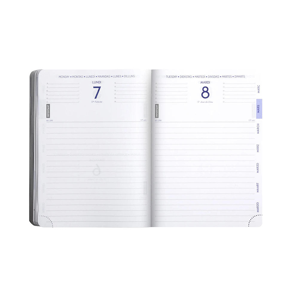 Agenda scolaire EXACOMPTA Forum Animaux Chat Blanc 2025-2026
